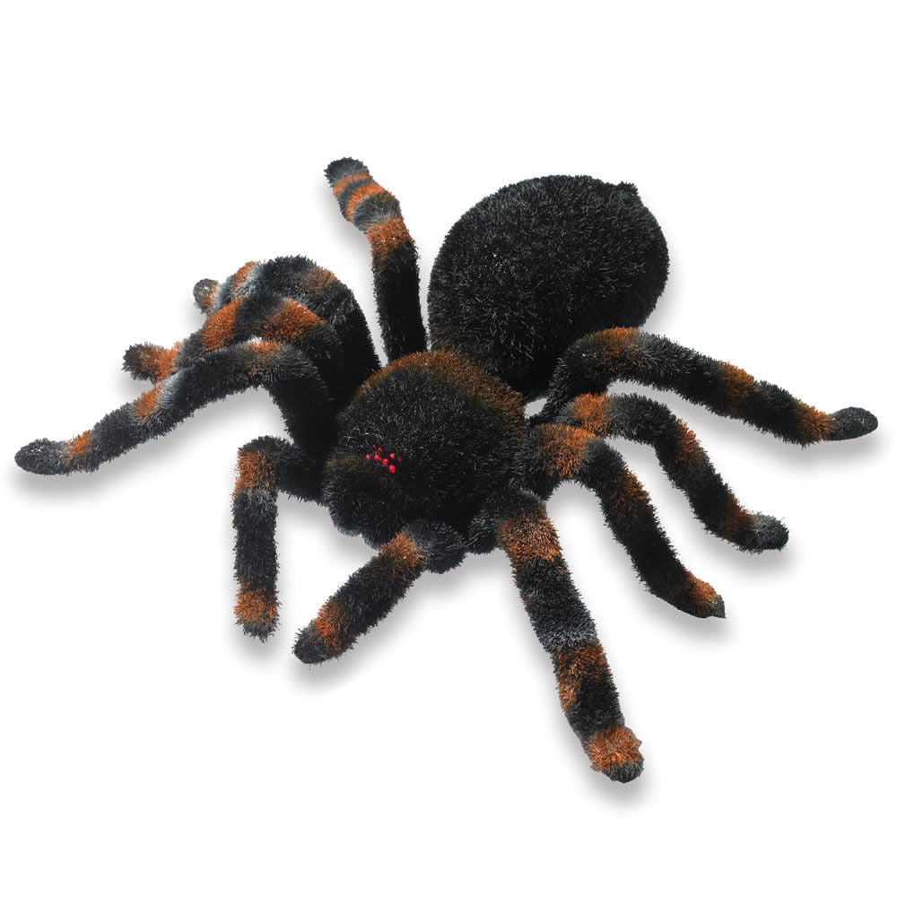 Remote Control Spider ($30)