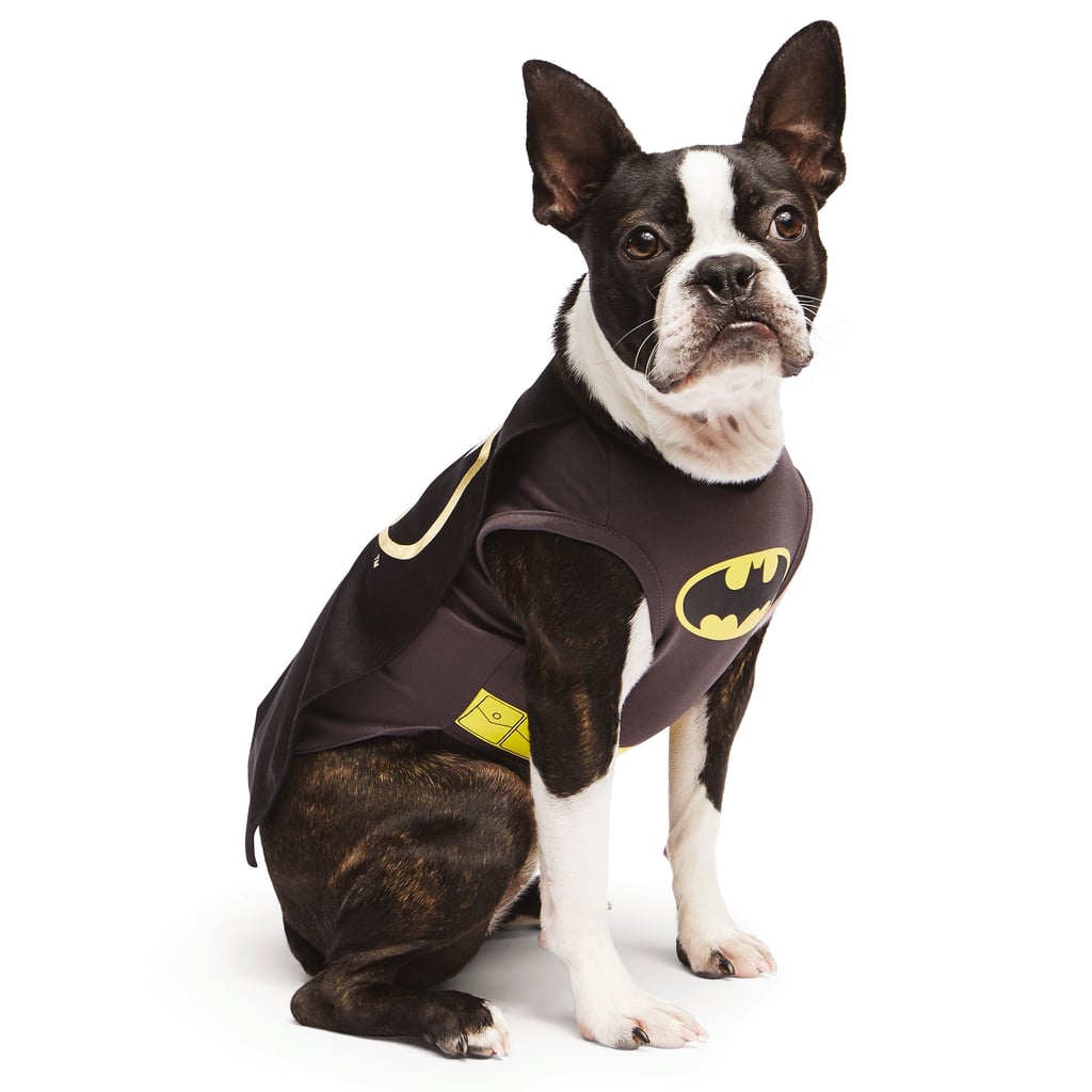 Dog In Batman Costume
 Batman Superhero Costumes For Dogs