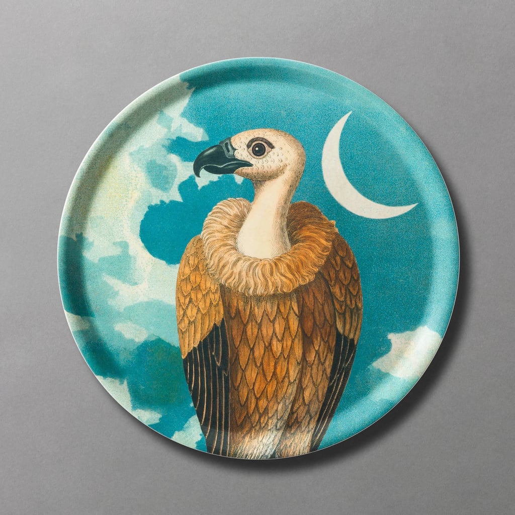 John Derian for Threshold Round Scavenger Hunt Vulture Melamine Serving Platter