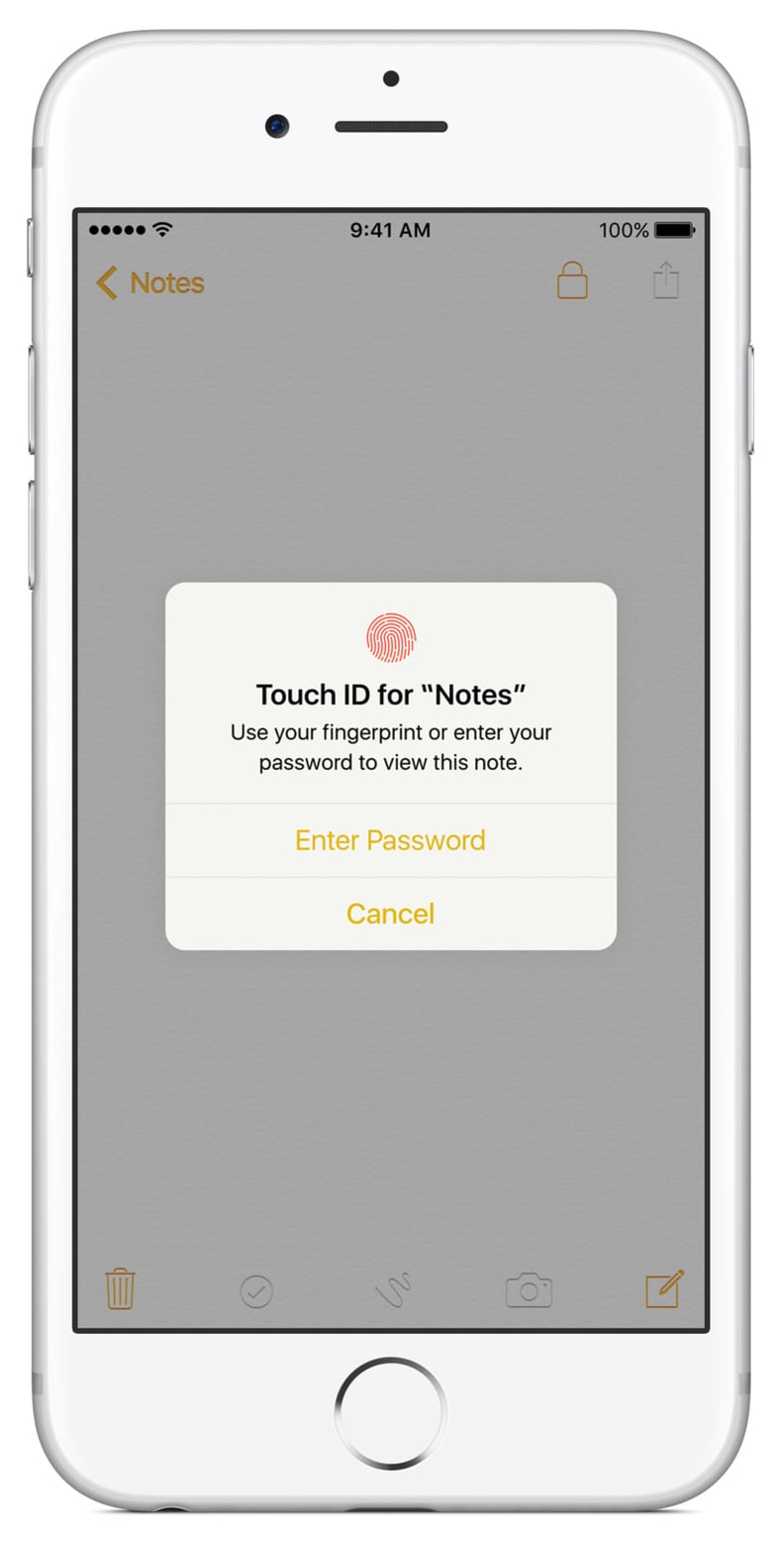 Password-protected notes