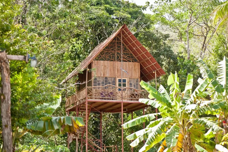 Rainforest Tree House, Cooper, Alajuela, Costa Rica