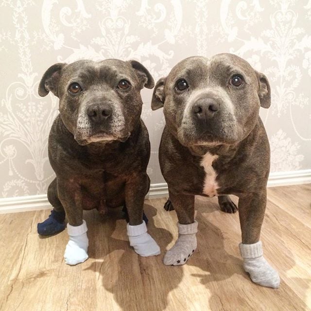 it s a nonstop pajama party for these