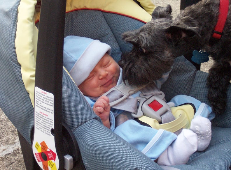 First Time Baby Meets the Family Pet