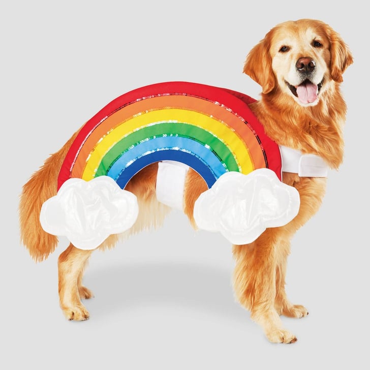 Rainbow Dog Costume
 Rainbow with Clouds Halloween Dog Costume