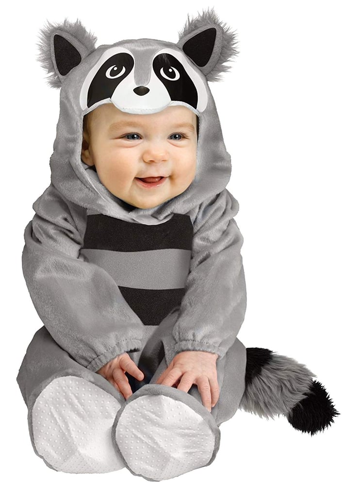 Raccoon