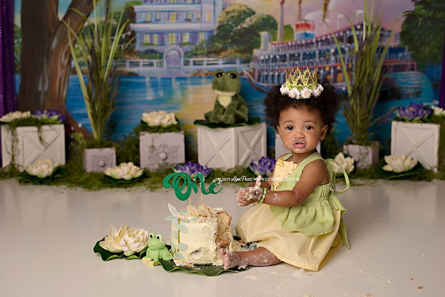 Princess and the Frog Cake Smash