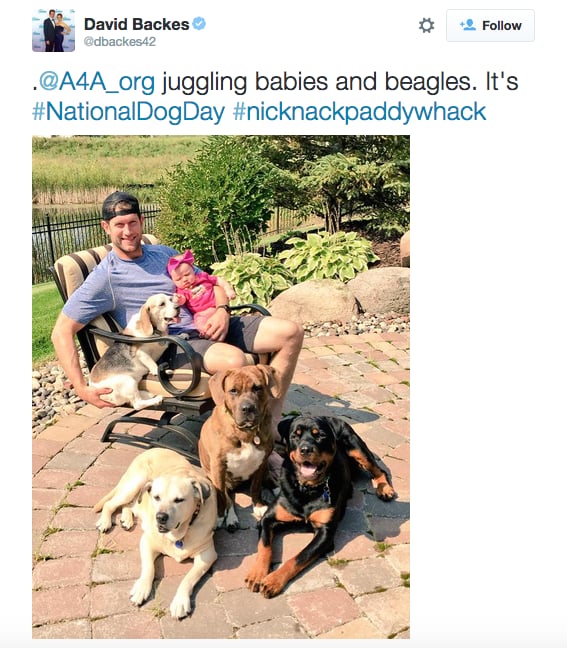 Tweets From National Dog Day 2015
