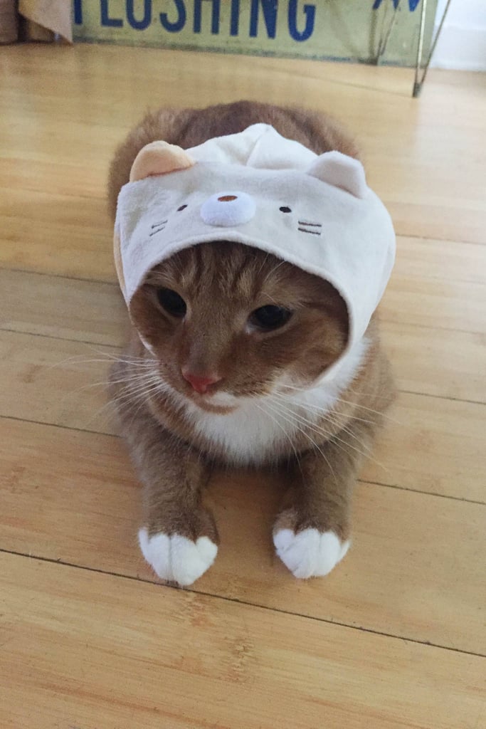 Sumikko Gurashi Cat Cap ($10)