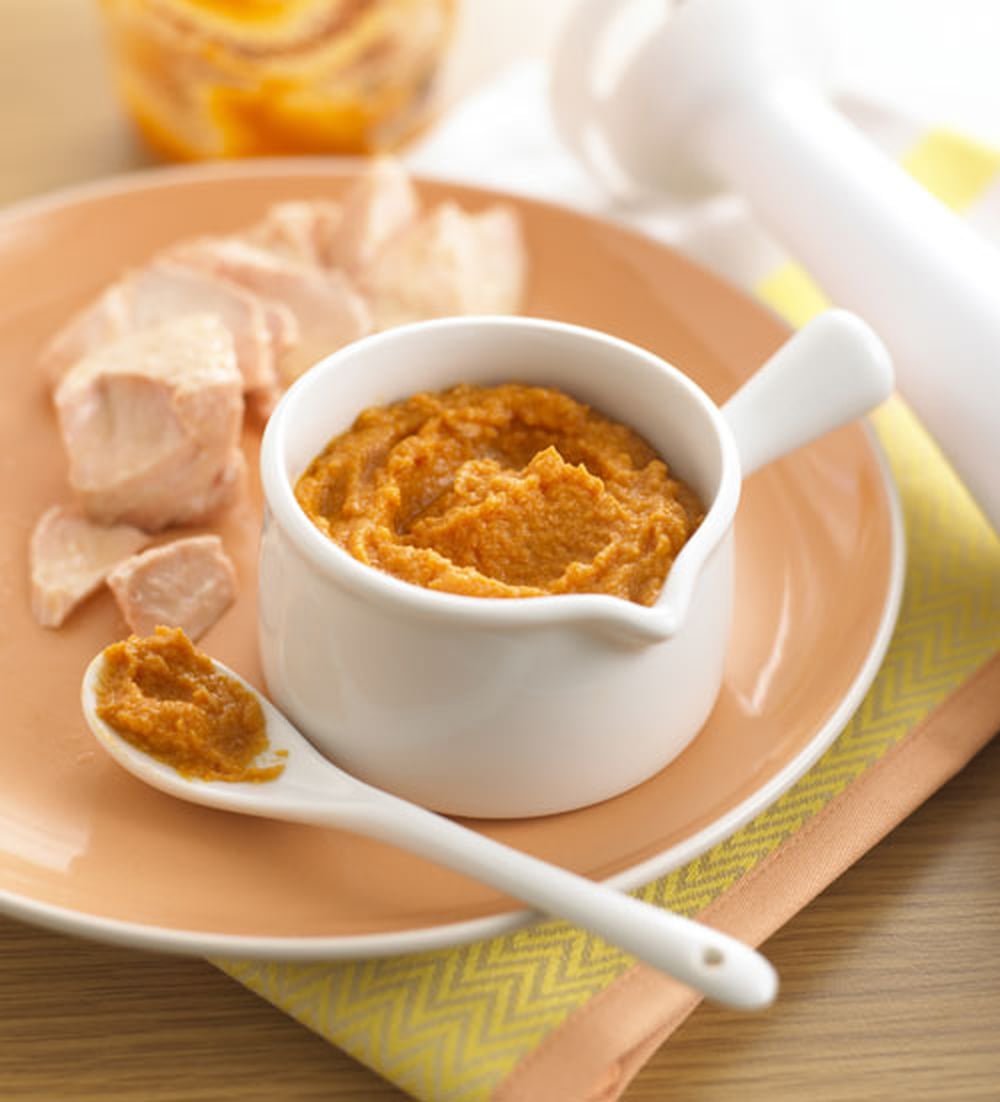 Baby Food Puree Recipes | PS Family