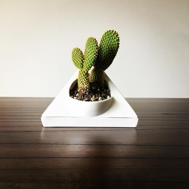 Triangular Ceramic Planter Pot (20) MidCentury Planters on Amazon