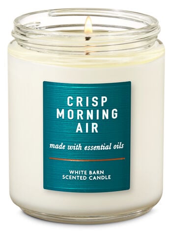 Bath and Body Works Crisp Morning Air Single Wick Candle