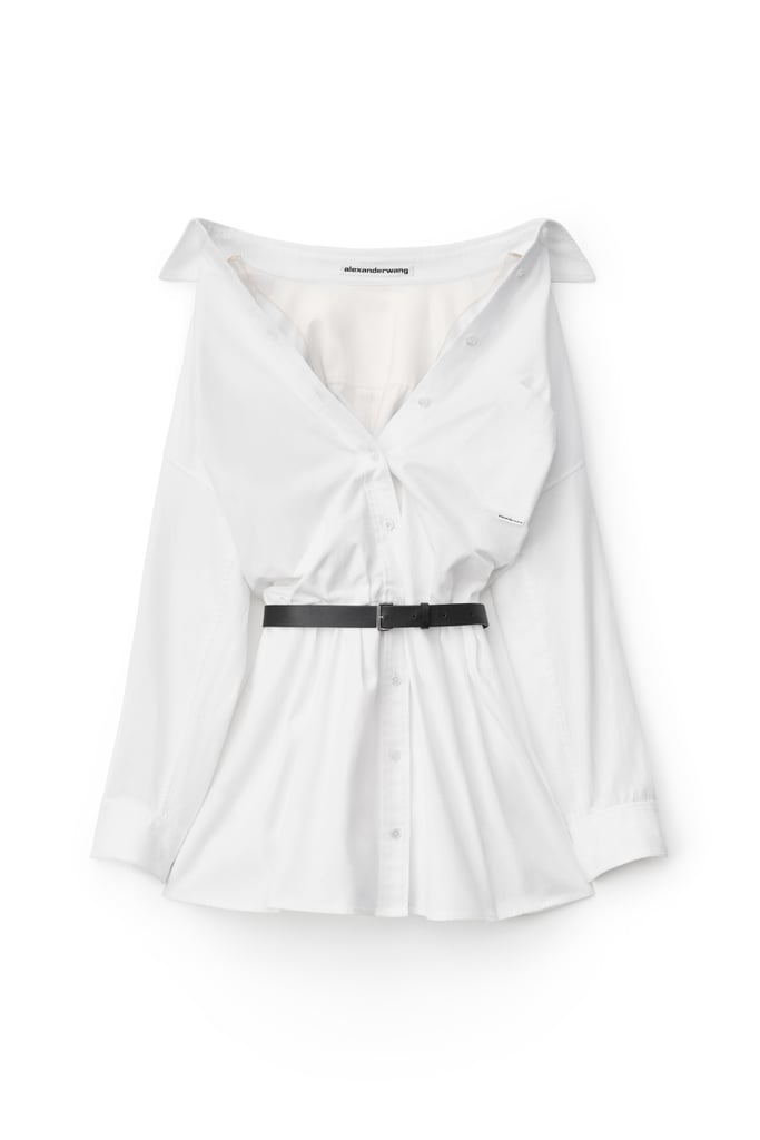 Alexander Wang Mini Shirt Dress