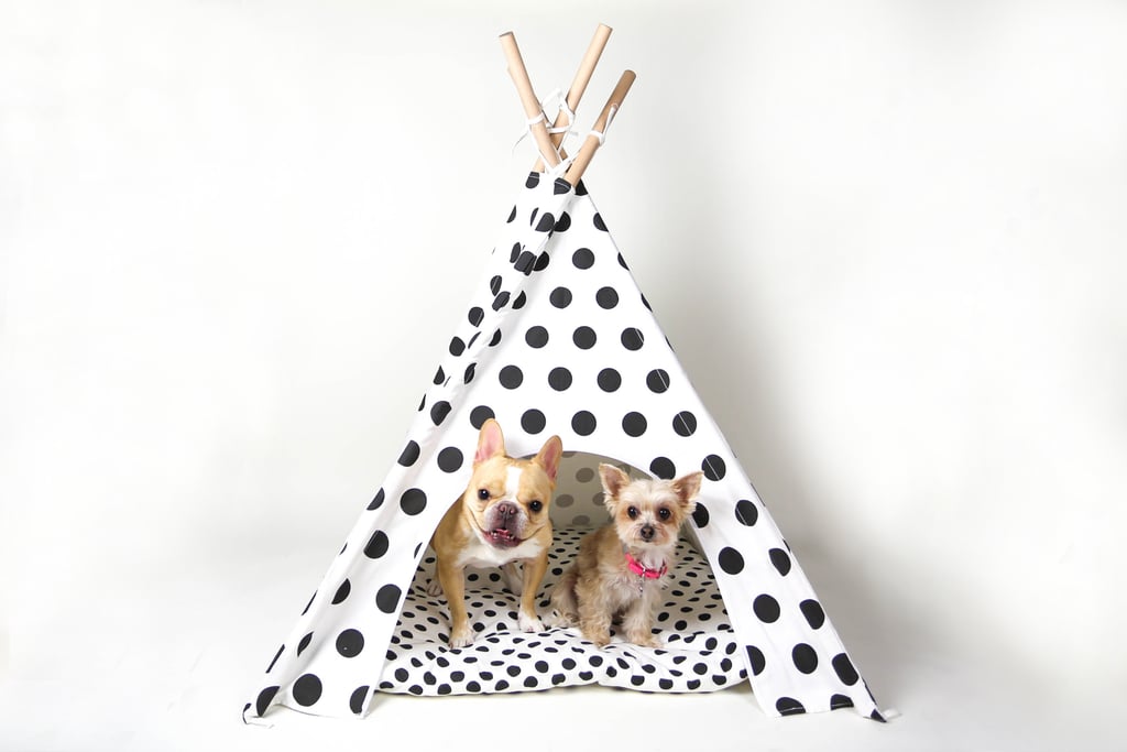 Pipolli Dog Teepee ($65)
Chloe: “When you want some me time. Glamping at home.”