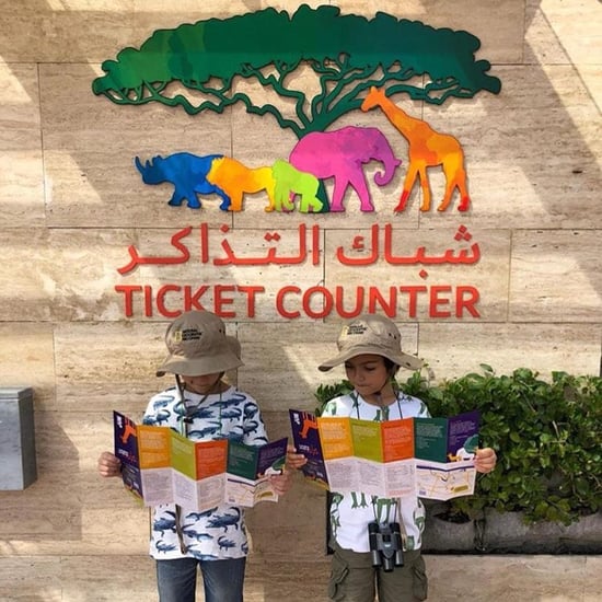 دبي سفاري تفتح أبوابها لاستقبال الزوار من جديد في 5 أكتوبر
