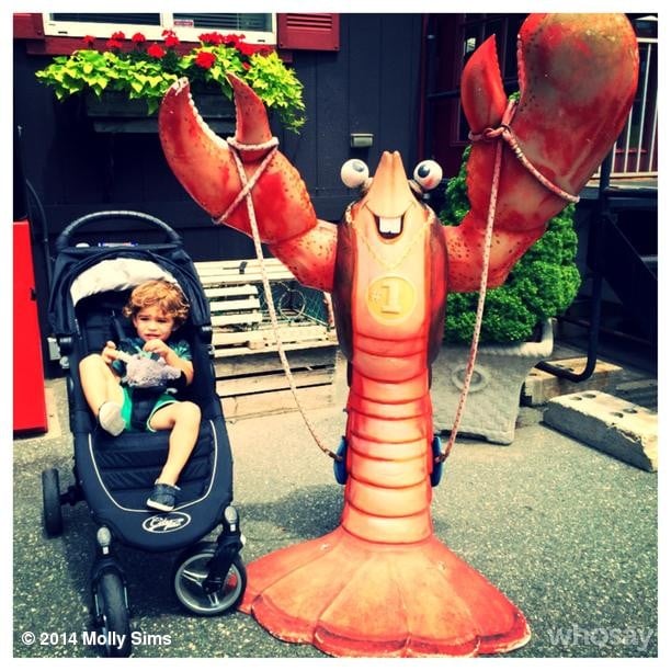 Brooks Stuber looked a little intimidated by the lobster Molly Sims found in New England.
Source: Instagram user mollybsims