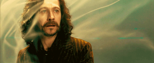 Harry hoping that Sirius will walk out from behind the curtain in the Department of Mysteries, not fully processing that his godfather is gone.
The heartbreaking moment when Harry realizes that his Aunt Petunia once loved his mother, too, and that she is just as scared about Voldemort's return as he is.