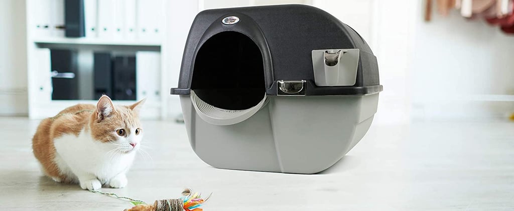 Best Self-Cleaning Litter Boxes For Cats