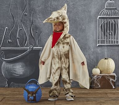 Pterodactyl Costume