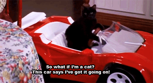 When Someone Tries to Limit You Because of Who You Are