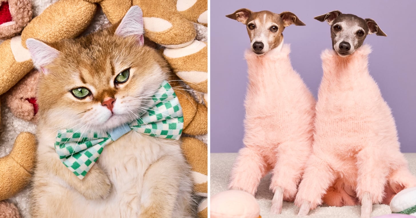 Get Ready, Pet Parents: Target’s Cuddle Collab Is About to Be Your New Obsession