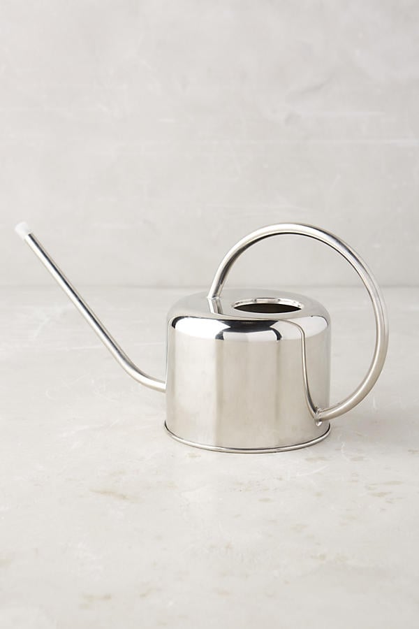 Polished Watering Can