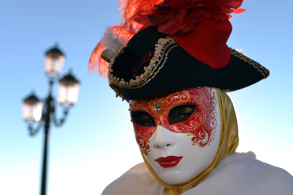 Venice Carnival 2014