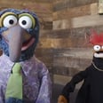 Even Muppets Are Eligible For the COVID-19 Vaccine! Watch Their Punny PSA