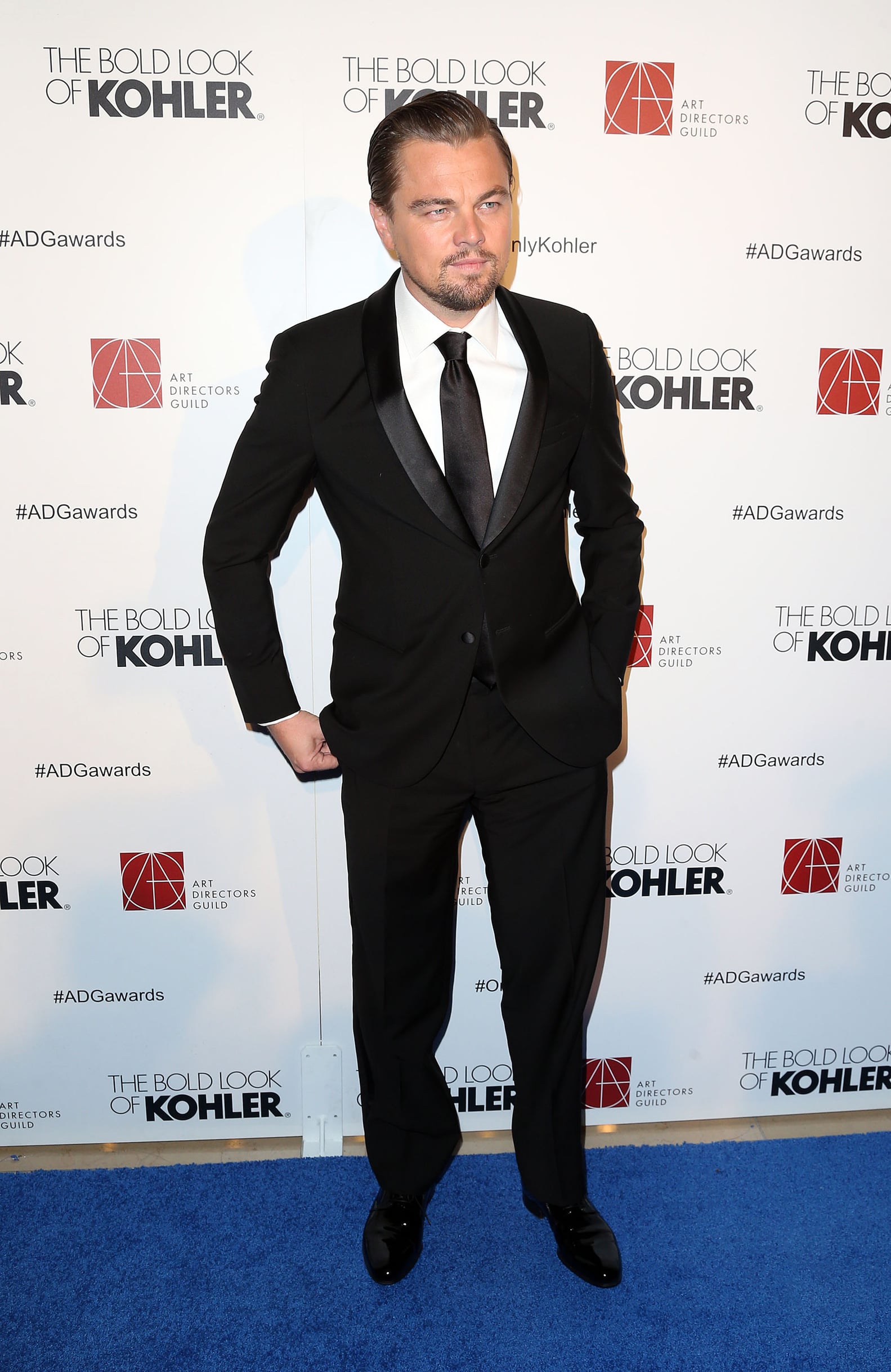 PREMI E RICONOSCIMENTI DI LEONARDO DICAPRIO visual data 3