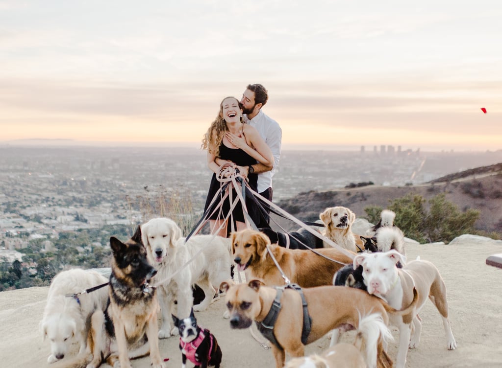 Man Proposes to His Girlfriend With 16 Dogs