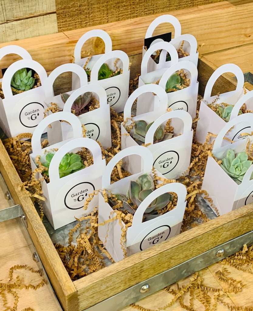 Etsy Succulent Bag Party Favors