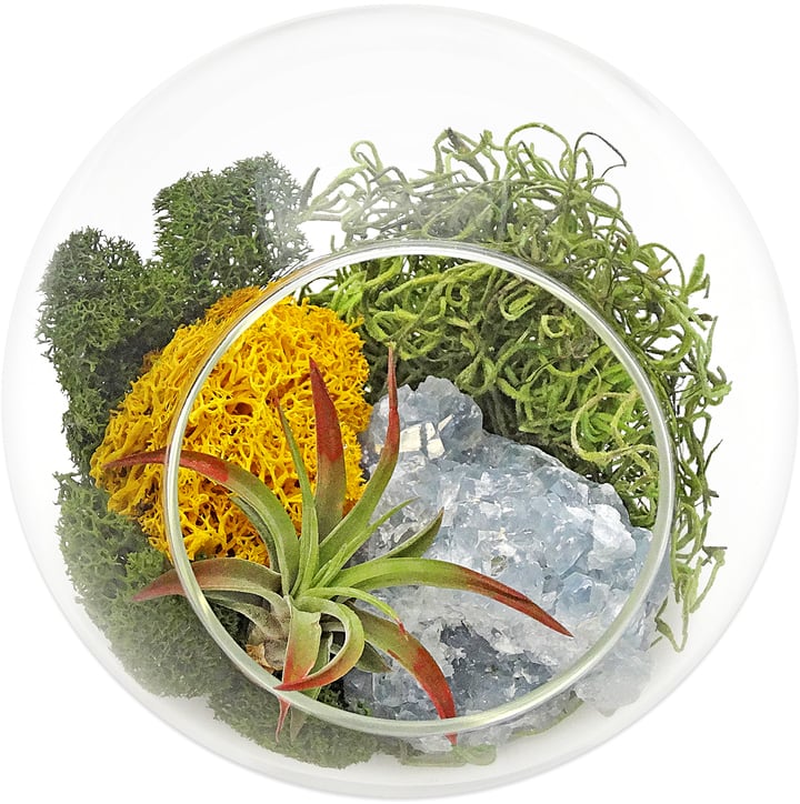 Zen Gem Terrarium Healing Crystals Shopping Guide POPSUGAR Fitness