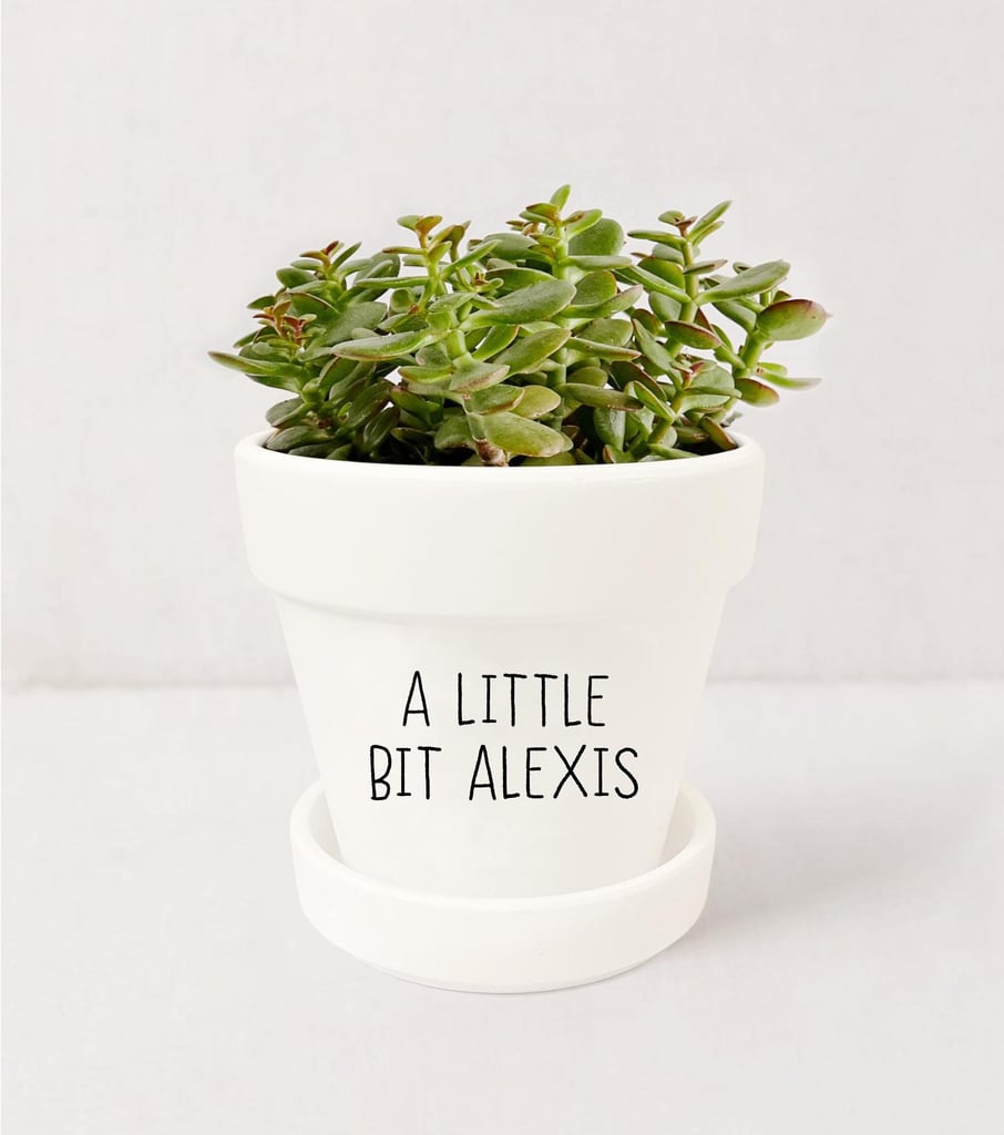 I'm a Little Bit Alexis Planter