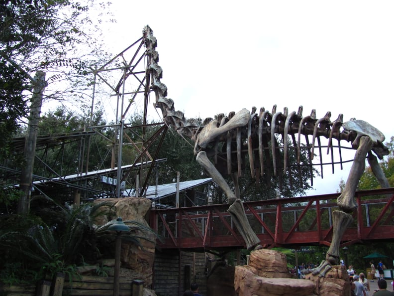 Animal Kingdom: The Boneyard