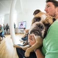 These Workplaces Welcome Employees' Dogs and Are the Greatest Places Ever