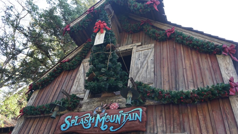 Splash Mountain boasts its own tree hanging high up above the street.