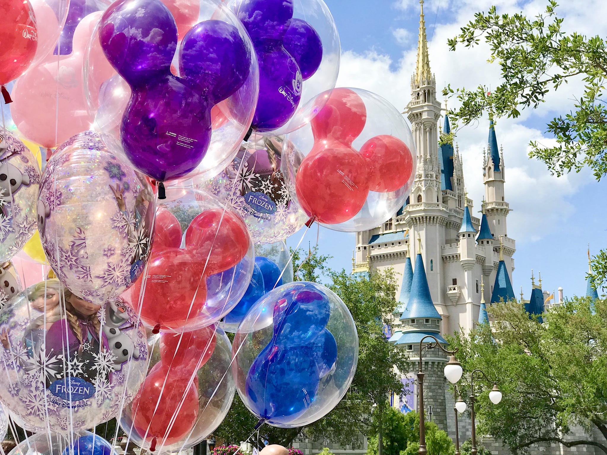 tmp_ZABe2j_0fa84fab0996078a_magic_kingdom_photo_KM.jpg