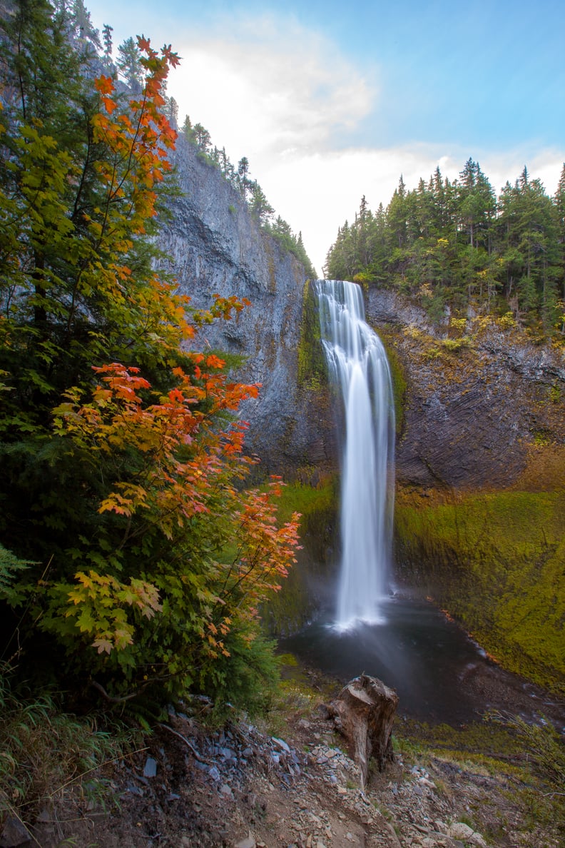 Pictures of Nature in the Fall | PS Smart Living