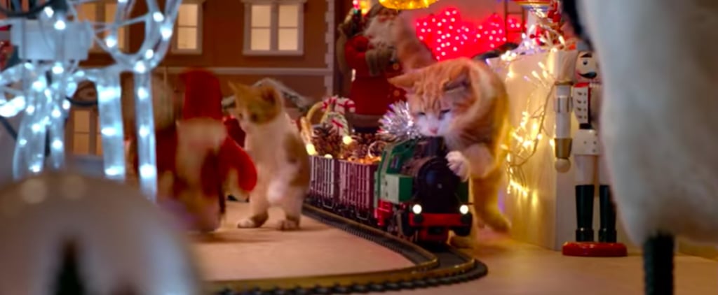 Temptations Cat Christmas Commercial