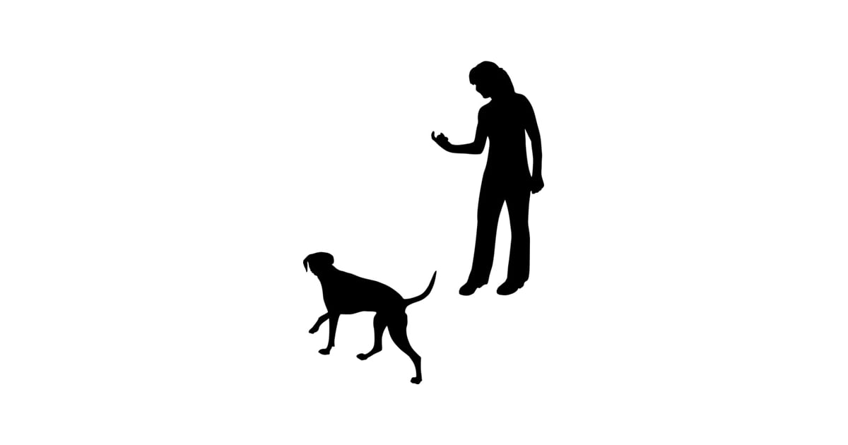 dog hand signal for shake