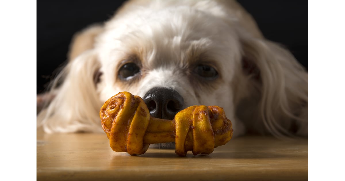A Change in Appetite How Do I Know If My Dog Is Depressed? POPSUGAR