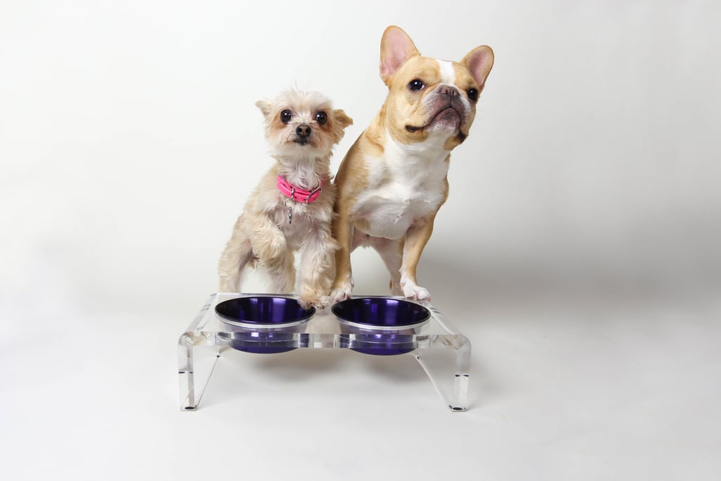 Acrylic Raised Pet Feeder 
Ella Bean: “I love eating out of Chloe’s when I pop by her place.”
