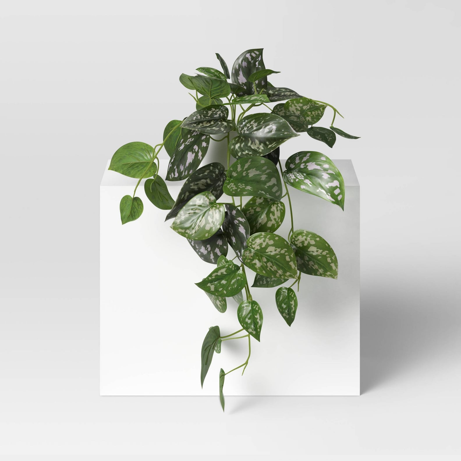 Best Fake Plants From Target 2022 POPSUGAR Home