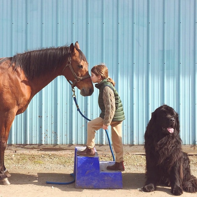 Photos of Boy With His Dogs and Horse