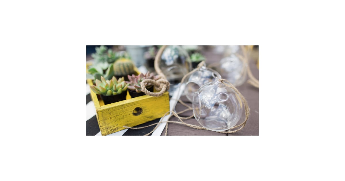 A Stylish DIY Terrarium Party POPSUGAR Home