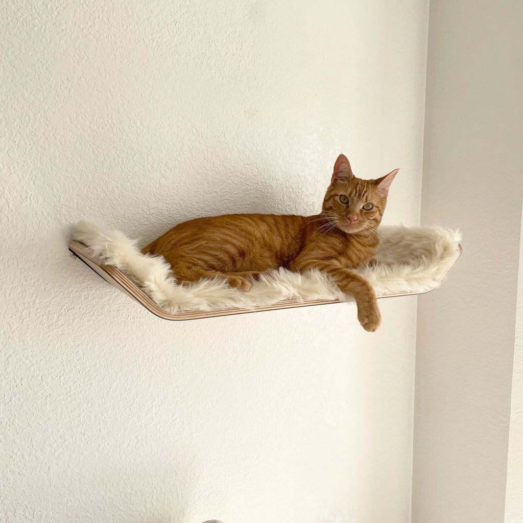 Stylish Cat Bed Shelf Editor Review POPSUGAR Pets