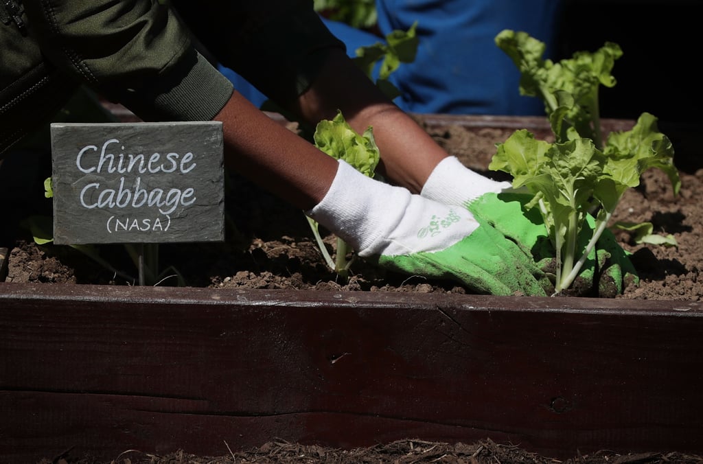 Michelle Obama Gardens With Students April 2016