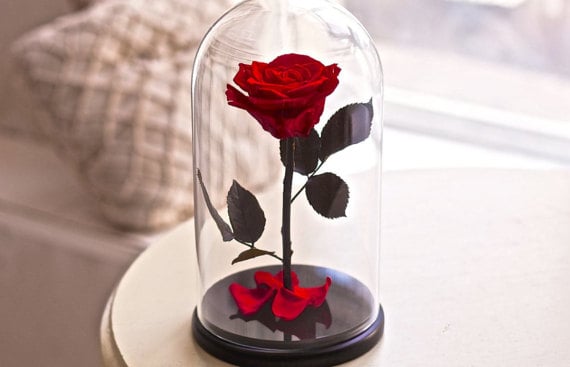 Preserved Rose in Glass