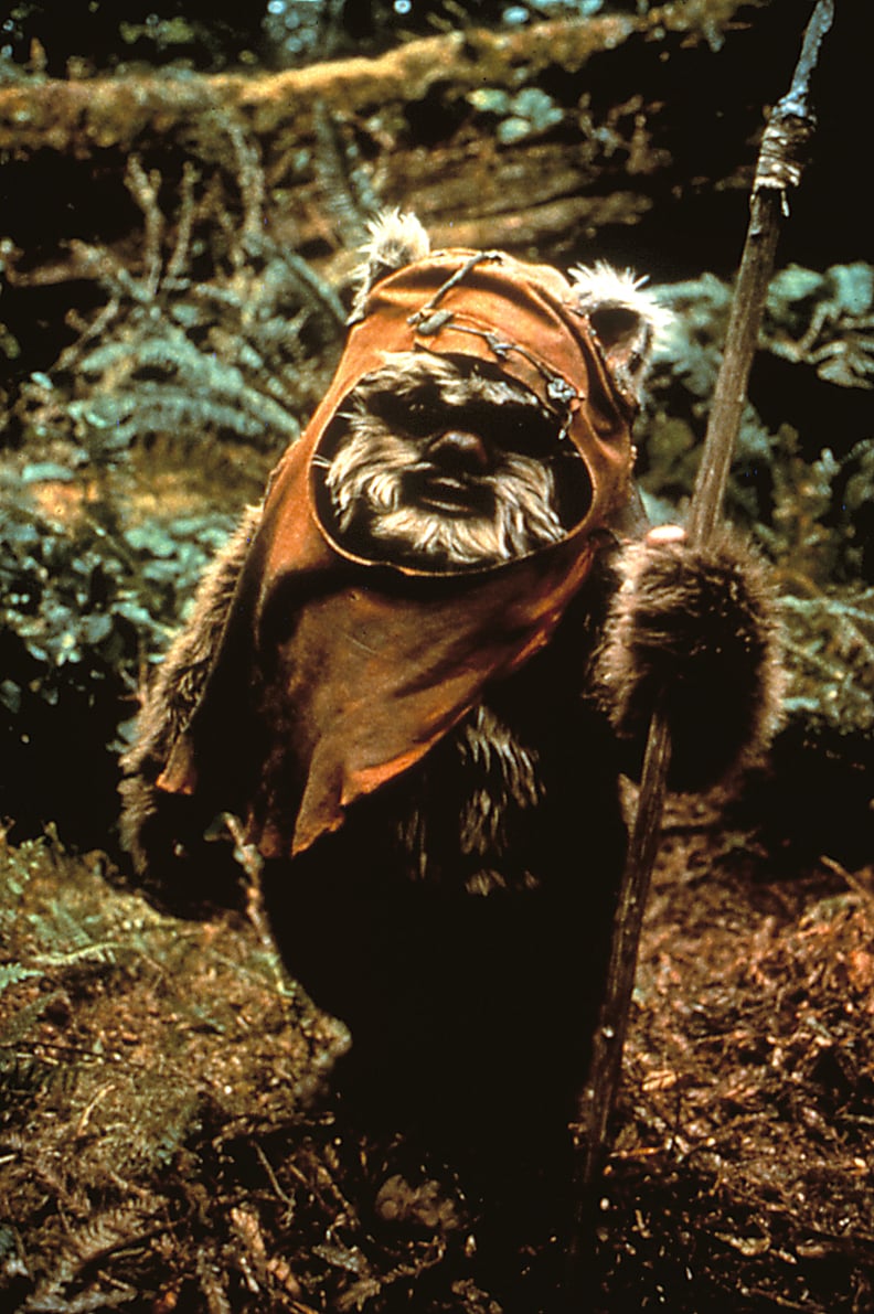 Warwick Davis as Wicket W. Warrick