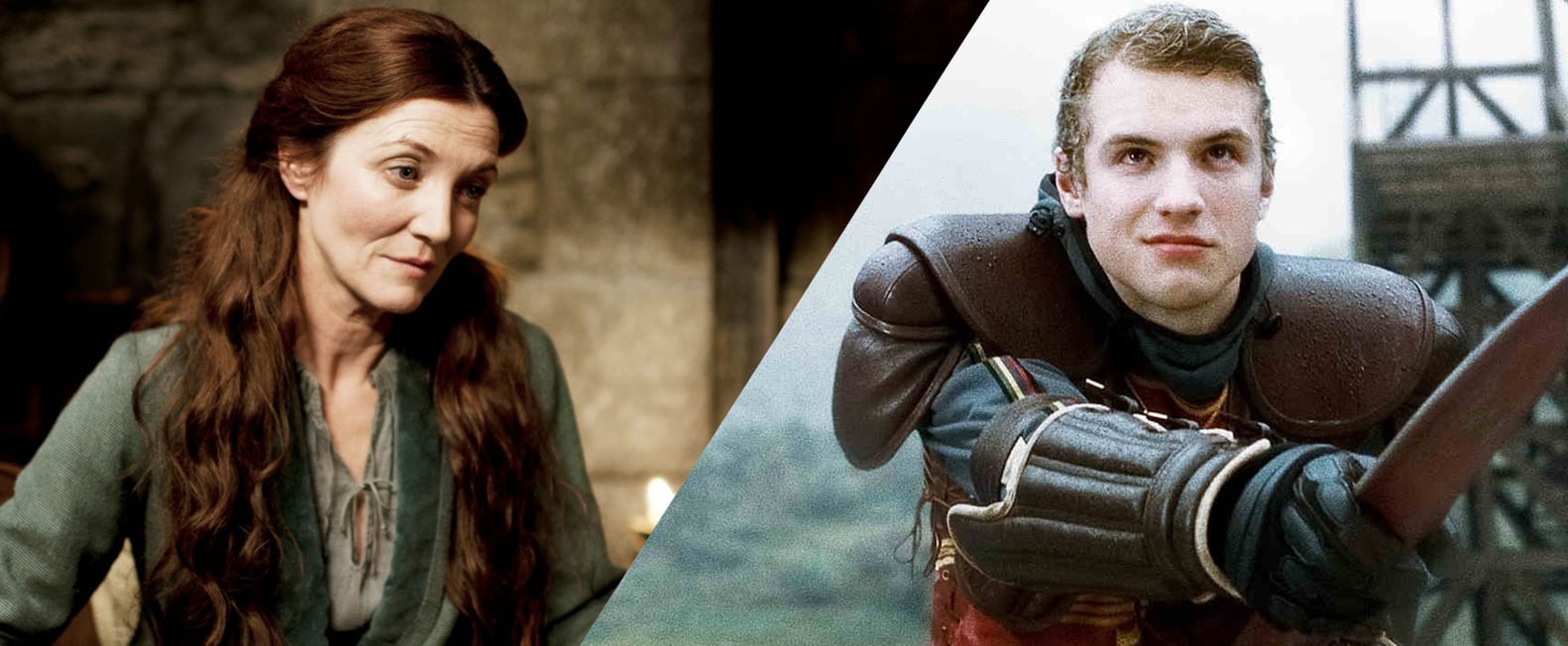 Harry Potter and Game of Thrones Crossovers PS Entertainment
