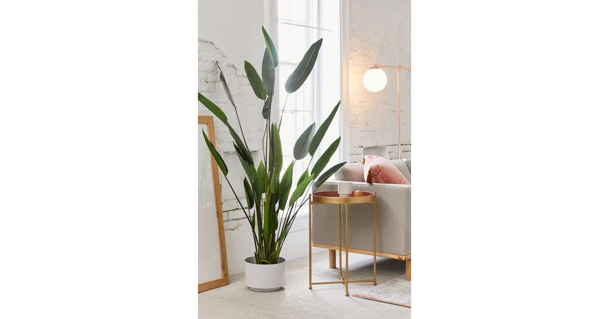 Water Canna Potted Faux Plant Best Plant Gifts POPSUGAR Home Photo 2